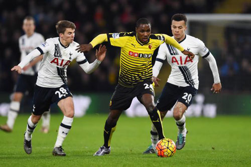 Watford – Tottenham: Giữ lửa, giữ tham vọng tốp 4 - 1