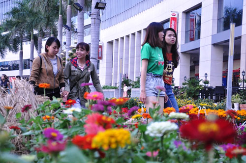 Ngắm hình ảnh làng quê ở “phố nhà giàu” tại Sài Gòn - 14