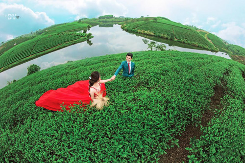 amp;#34;Ốc đảoamp;#34; chè xanh đẹp mê hồn giữa miền Tây xứ Nghệ - 6