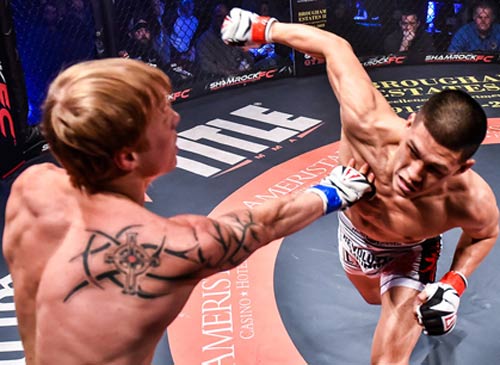 Vang dội: Cao thủ MMA gốc Việt đánh đâu thắng đó Vang dội: Cao thủ MMA gốc Việt đánh đâu thắng đó