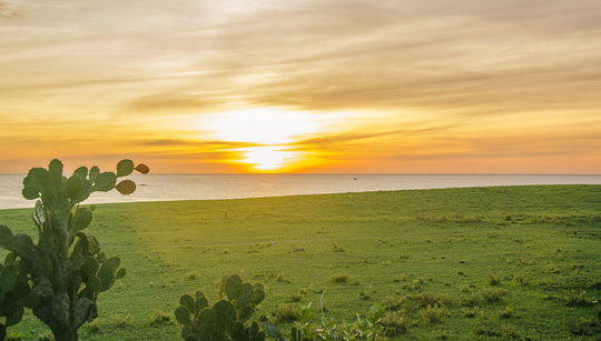 Ghé Phú Yên thăm phim trường “hoa vàng cỏ xanh” - 2