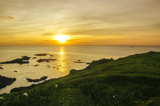 Ghé Phú Yên thăm phim trường “hoa vàng cỏ xanh” - 3