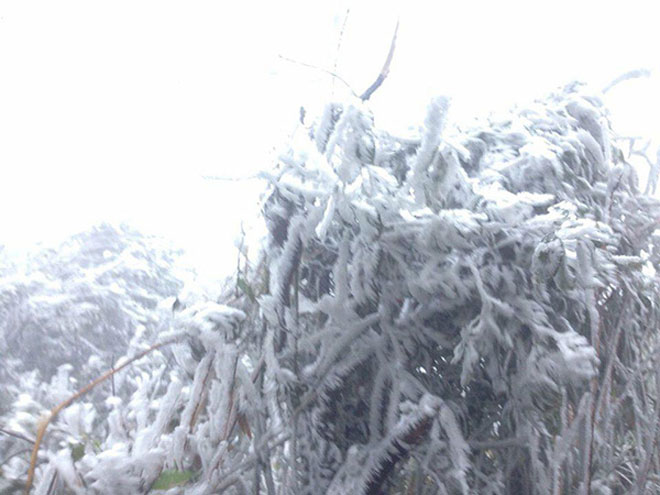 Du khách thích thú ngắm tuyết rơi trên đỉnh Mẫu Sơn - 2