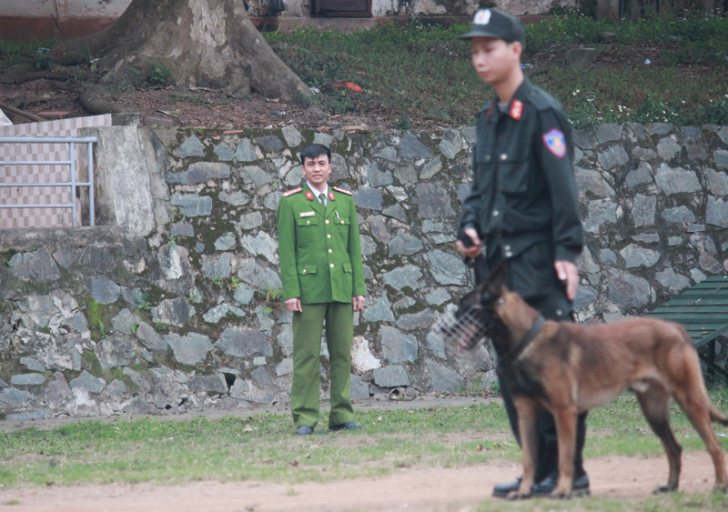 Nữ cảnh sát xinh đẹp tiết lộ bí quyết huấn luyện chó nghiệp vụ - 2