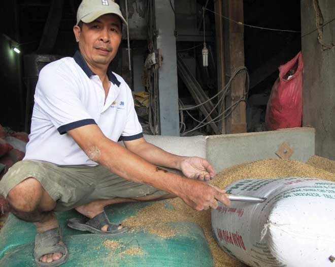 Đống vàng quên trong bao lúa: Người nhặt “xin” vàng… đi mua tủ lạnh Đống vàng quên trong bao lúa: Người nhặt “xin” vàng… đi mua tủ lạnh