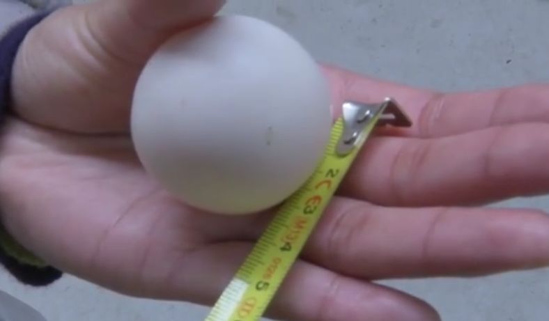 Bé xíu, hình dáng kỳ quặc nhưng quả trứng gà này có thể bán với giá 15 triệu đồng - 2