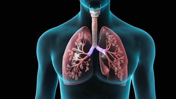 2 loại quả người hút thuốc lá nên ăn mỗi ngày để giảm tổn thương ở phổi - 2
