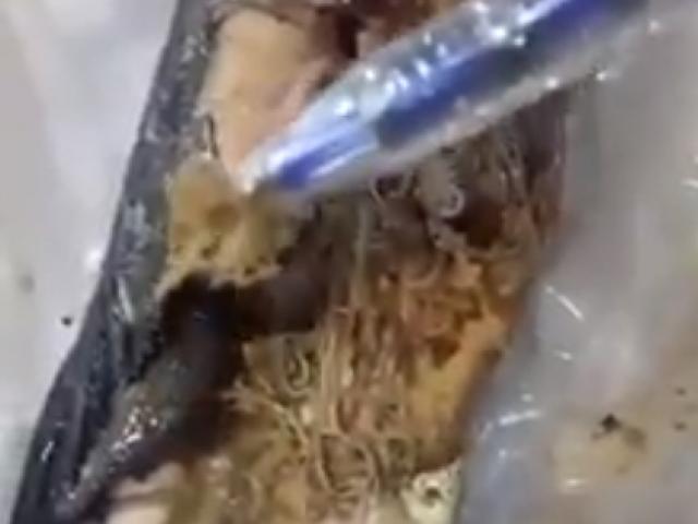Học sinh nội trú bỏ cơm vì có ổ giun trong bụng cá Học sinh nội trú bỏ cơm vì có ổ giun trong bụng cá