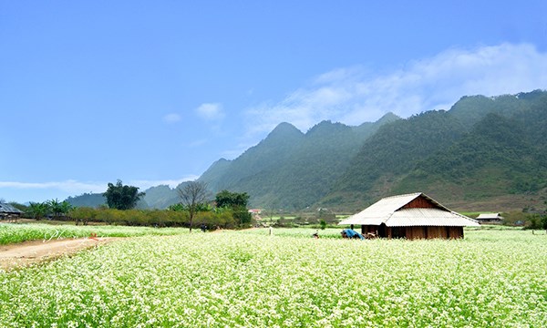 Những điểm du lịch đốn tim các thánh sống ảo, không thể bỏ qua khi đến Sơn La - 9