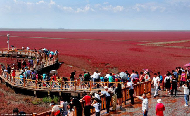 Bãi biển đỏ rực như bể máu khiến du khách không dám nhúng chân - 2