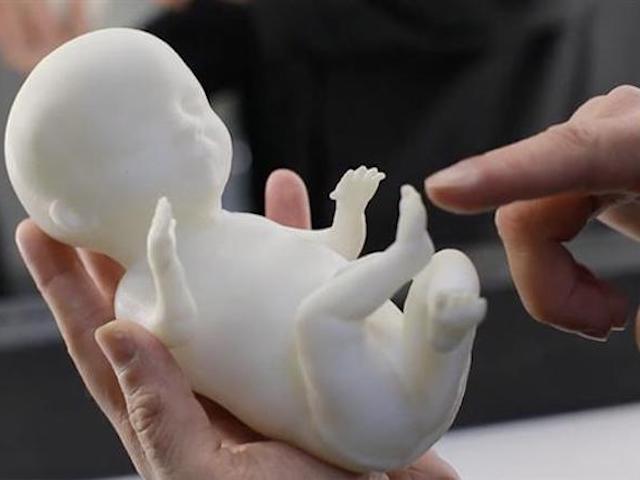Công nghệ in 3D có thể "sao chép" thai nhi như thật