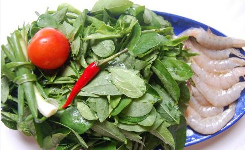 tác dụng của rau ngót