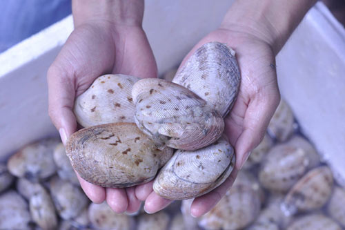 15 món ăn hải sản ngon nổi tiếng không nên bỏ qua - 12