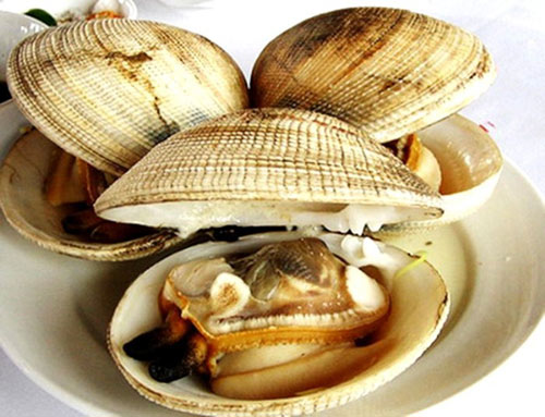 15 món ăn hải sản ngon nổi tiếng không nên bỏ qua - 10