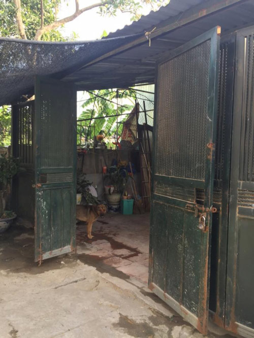 Nha nghe si Han Van Tinh - 2