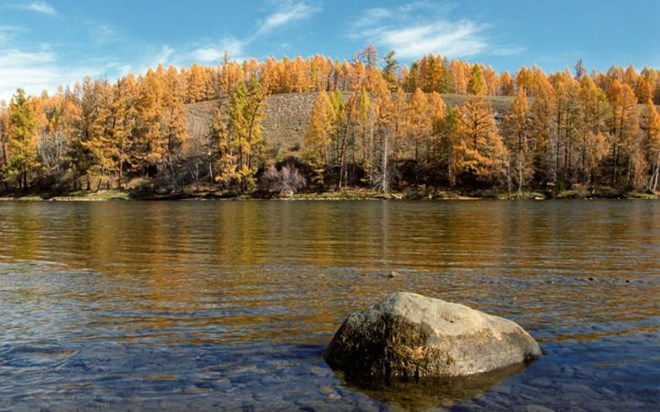 Sông Yenisei