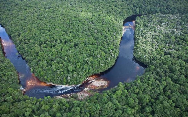 Sông Amazon