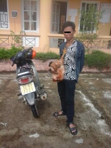 Xôn xao hình ảnh "đạo chích" bị trói tay, treo gà vào cổ Xôn xao hình ảnh "đạo chích" bị trói tay, treo gà vào cổ
