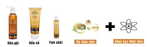 Giải pháp mới: Ngăn rụng tóc bằng tinh chất - 3