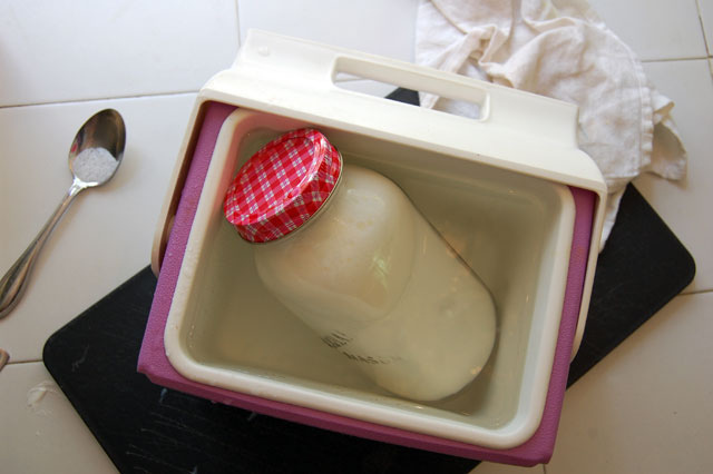 Bỏ túi ngay công thức làm sữa chua không đường siêu đơn giản - 4