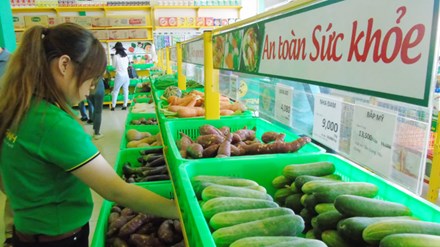 Rau quả Việt Nam xuất khẩu thu mỗi ngày gần 190 tỷ đồng - 1