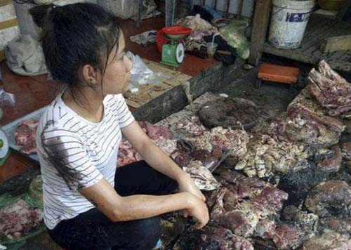 Bất ngờ trước hành động của Mr.Đàm với chủ sạp thịt bị tạt dầu luyn Bất ngờ trước hành động của Mr.Đàm với chủ sạp thịt bị tạt dầu luyn