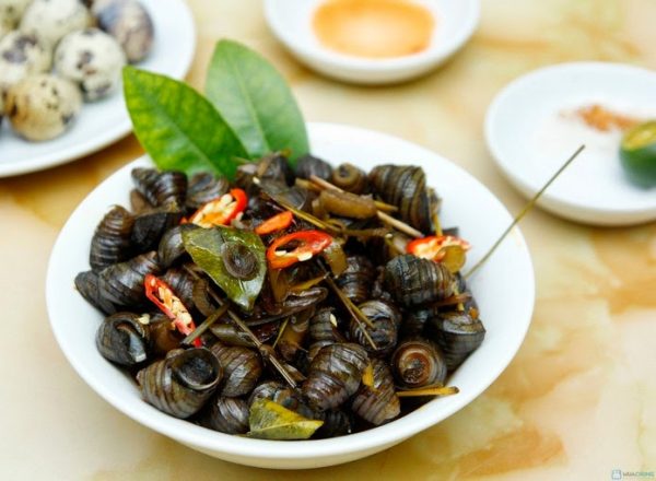 Tuyệt đối không ăn ốc với những thứ này - 3