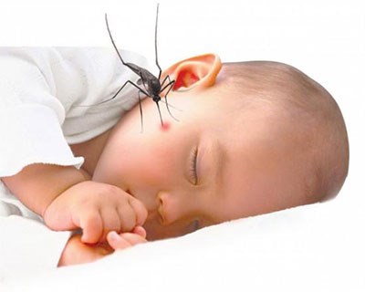 Đã mắc sốt xuất huyết một lần sẽ miễn dịch suốt đời? - 1