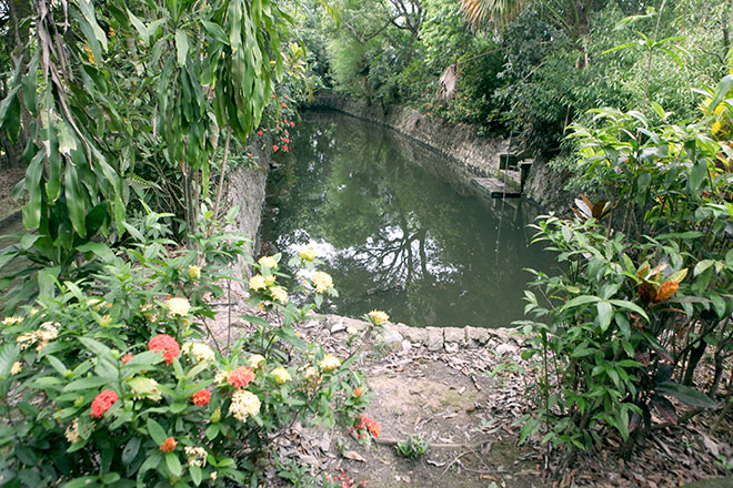 Ngắm "ao thu, ngõ trúc" trong chùm thơ Thu của Nguyễn Khuyến - 14