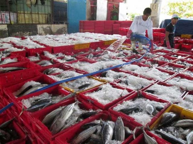 Nỗ lực gỡ "thẻ vàng" cho thủy sản