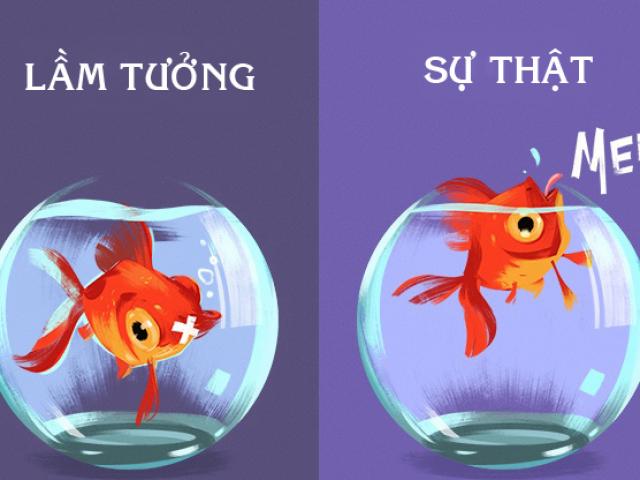 12 lầm tưởng khôi hài về động vật cha mẹ vẫn luôn dạy con