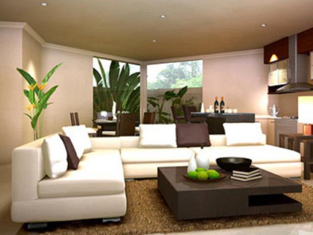 Những cây hút tiền, sinh lộc… có thể gây sưng họng, nghẹt thở