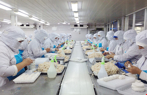 Xin chứng nhận thủy sản khai thác: Vướng quy định mới - 1