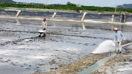 Tin mới về vụ “động trời” ở Tổng cục Thuỷ sản - 1