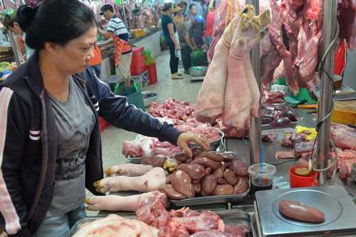 Heo có “chứng minh thư” - 1