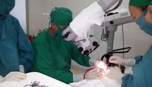 Yêu cầu kiểm điểm sai phạm Ban giám đốc BV Tai Mũi Họng TP HCM - 1