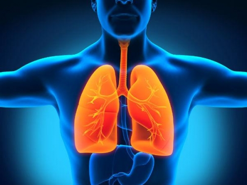 Nguy hiểm khôn lường khi ngồi một chỗ cả ngày - 4