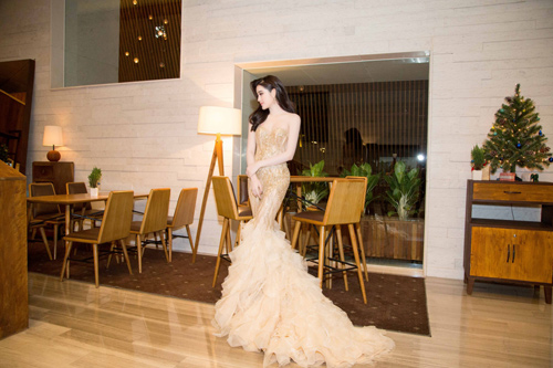 Sự thật về chiếc váy “đụng hàng” của hoa hậu Mỹ Linh - 5
