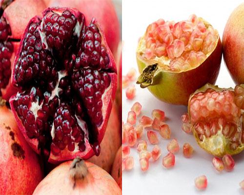 Mẹo hay phân biệt lựu Trung Quốc và lựu Việt Nam - 2