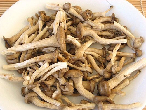 chế biến nấm an toàn