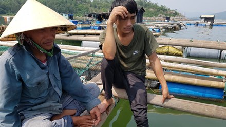 Cá chết ở biển Thanh Hóa: Có lặp lại kịch bản Formosa? Cá chết ở biển Thanh Hóa: Có lặp lại kịch bản Formosa?