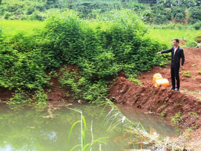 Ba cha con tử vong bí ẩn dưới ao nước