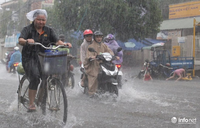 Bão số 2 đổ bộ đất liền, Nghệ An - Hà Tĩnh mưa trắng trời - 1