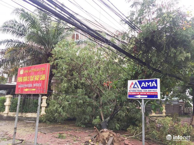 Ảnh: Hà Tĩnh, Nghệ An, Thanh Hóa tan hoang sau bão số 2 - 6