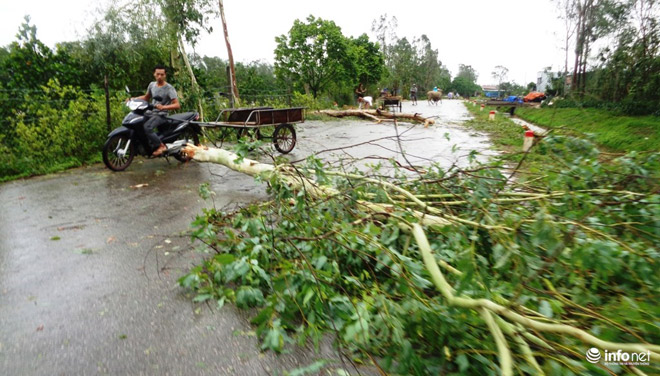 Ảnh: Hà Tĩnh, Nghệ An, Thanh Hóa tan hoang sau bão số 2 - 7