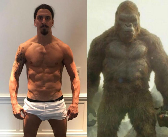 &#34;King Kong&#34; Ibrahimovic hồi phục thần kỳ, quyết tái ngộ MU - 1