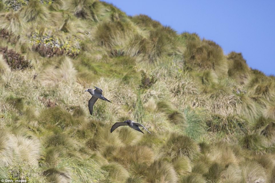 Khám phá 8 hòn đảo không người đẹp ngoài sức tưởng tượng - 9