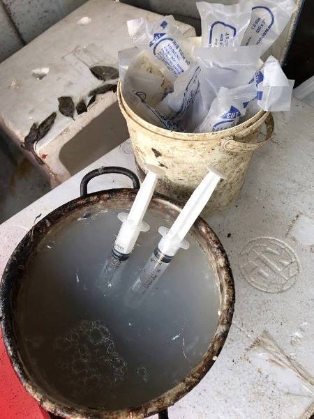 H&agrave; Nội: Bắt quả tang bơm tạp chất v&agrave;o t&ocirc;m tại chợ đầu mối - 2