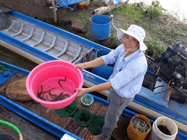 Mùa lũ ở ĐBSCL: Kiếm 800.000 đ/ngày nhờ sản vật "trời cho" Mùa lũ ở ĐBSCL: Kiếm 800.000 đ/ngày nhờ sản vật "trời cho"