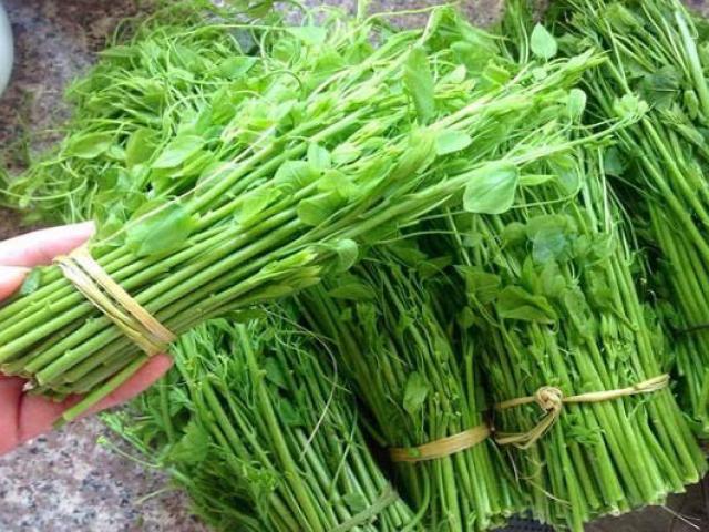Rau rừng giá tới 120.000 đồng/kg vẫn được chị em săn đón Rau rừng giá tới 120.000 đồng/kg vẫn được chị em săn đón